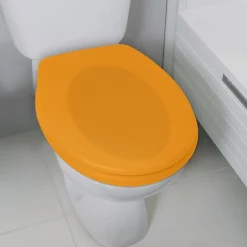 Abattant WC - Themodur - avec Frein de chute - NEELA - Safran mat SPIRELLA