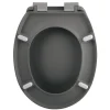 Abattant WC - Themodur - avec Frein de chute - NEELA - Gris mat SPIRELLA