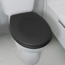 Abattant WC - Thermo dur - avec Frein de chute - NEELA - Noir mat SPIRELLA