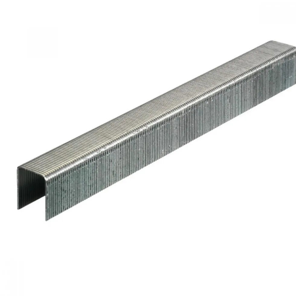 Agrafes galvanisées type 80 - longueur 8 mm - par 10000 ARCA-SCAB