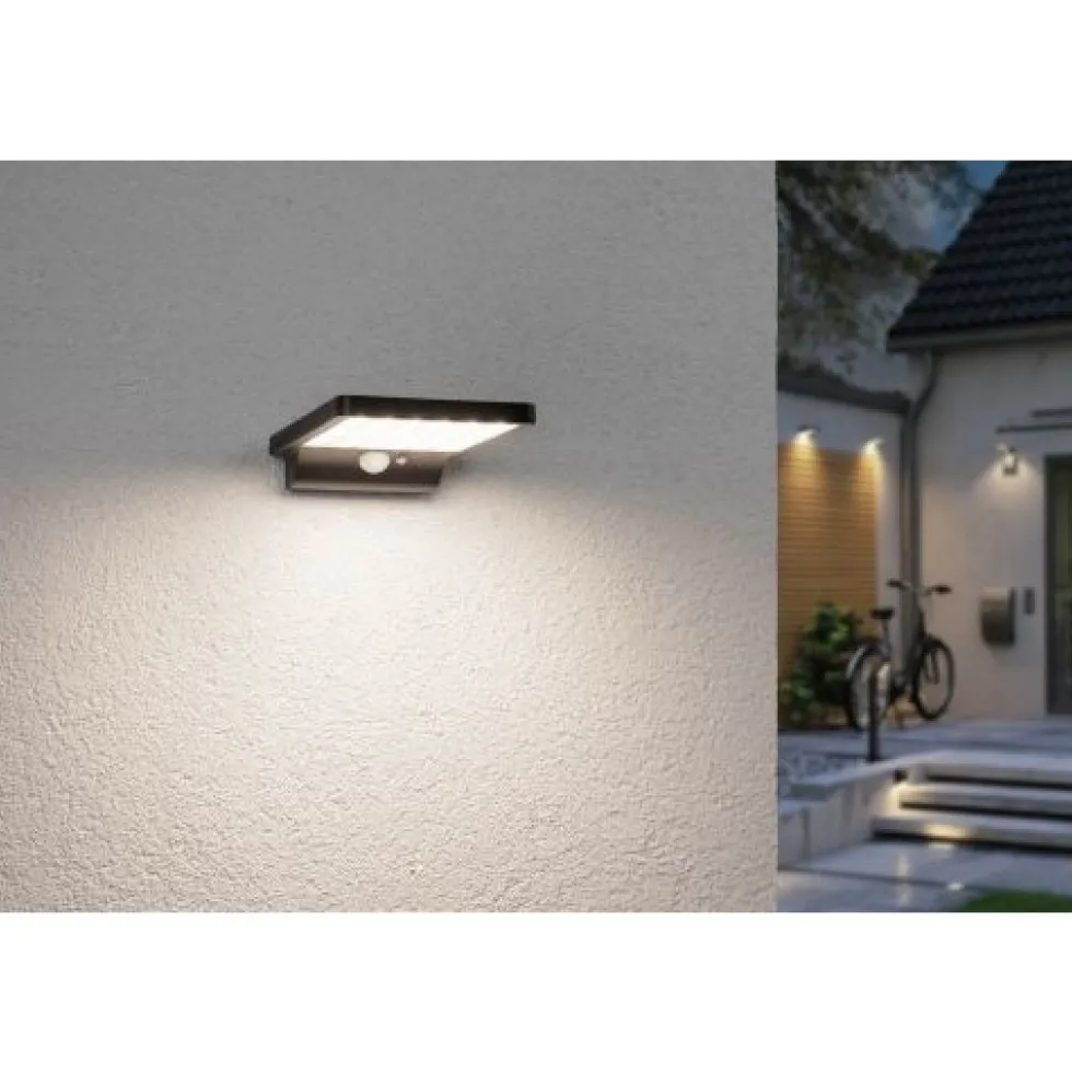 Applique solaire LED Solveig à détection de mouvements -noir PAULMANN