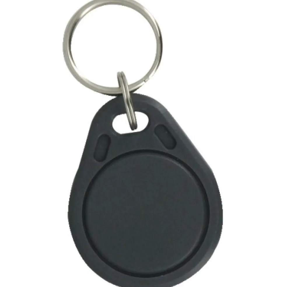 Badge porte-clés Iseo Mifare Plus Identité 4K - en sachet de 10 ISEO CITY
