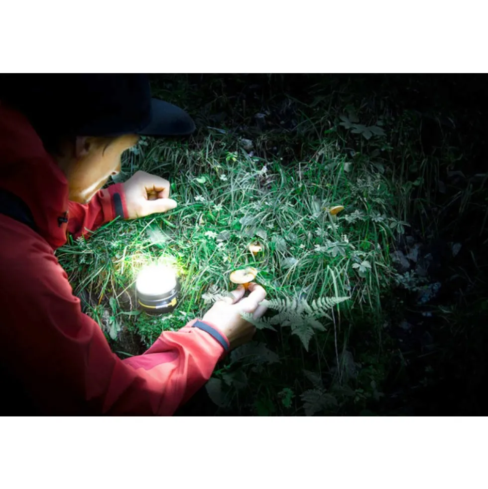 Baladeuse LED - rechargeable - OLI 0300 A BRENNENSTUHL