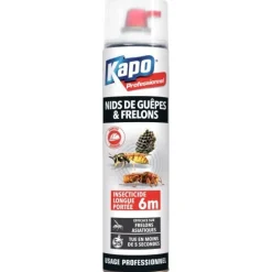 Bombe insecticide spéciale pour nids de guêpes et frelons - 750 ml Kapo