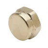 Bouchon laiton femelle 15x21 avec joint gaz FAVEX