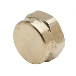 Bouchon laiton femelle 15x21 avec joint gaz FAVEX