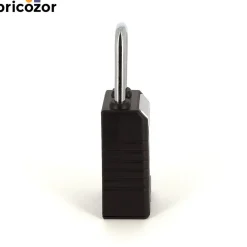 Cadenas à code et Bluetooth ProSeries en métal avec pavé numérique MASTER LOCK