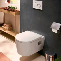 Cuvette WC suspendu 540 AquaChannel Flush - EluPura Original S HANSGROHE