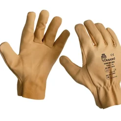 Gants cuir de bovin hydrofuge 1559 BH BEI - 10 paires GUYARD