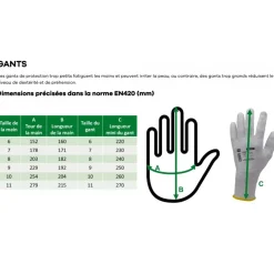 Gants Eurowinter Islande MO2486 - contre le froid Coverguard