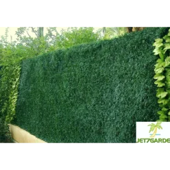 Haie végétale artificielle - 243 brins - vert Thuyas - 1,50 x 3 m JET7GARDEN