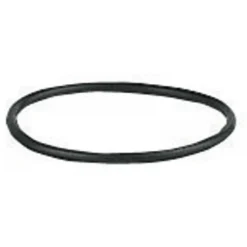 Joint torique pour filtre bitube RG 2 WATTS