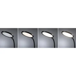 Lampe de bureau LED 15W 4000K 1200 lm Gradable - Noir mat - Mejan PAULMANN