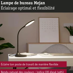 Lampe de bureau LED 15W 4000K 1200 lm Gradable - Noir mat - Mejan PAULMANN