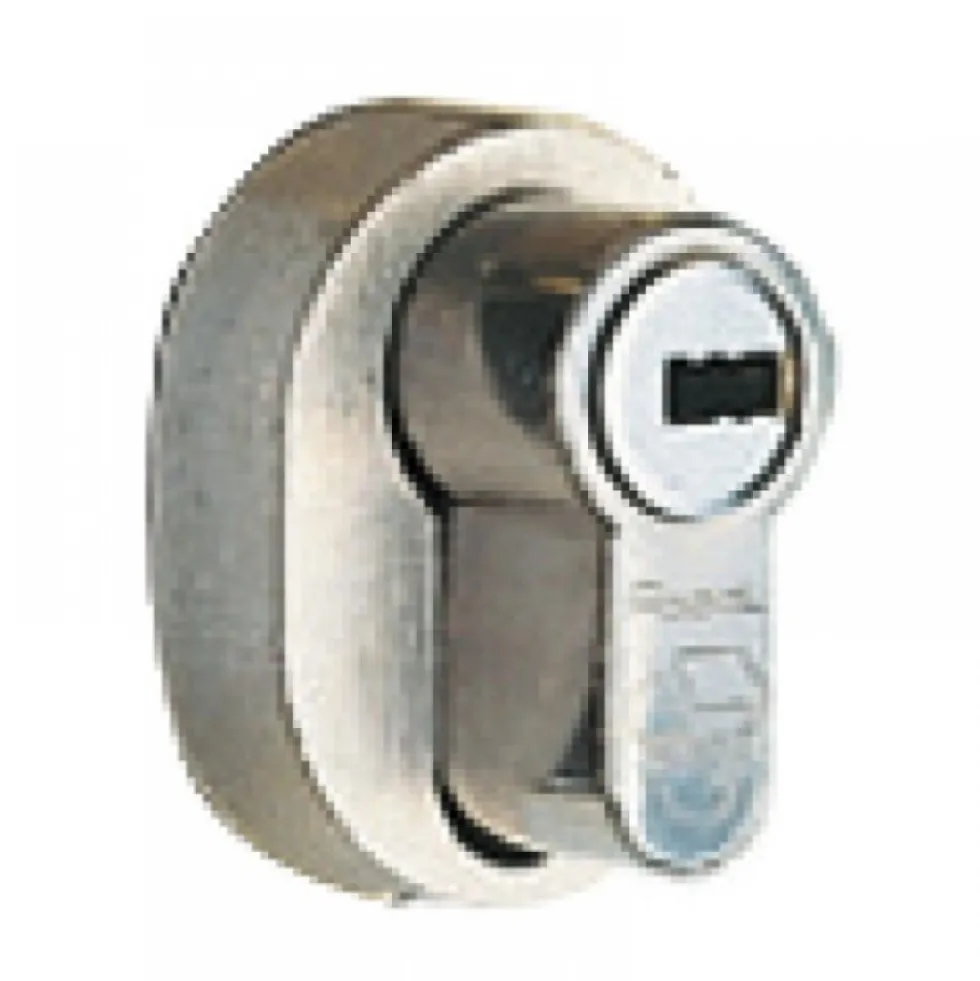 Module avec cylindre NT pour serrure 20000 A2P* VACHETTE