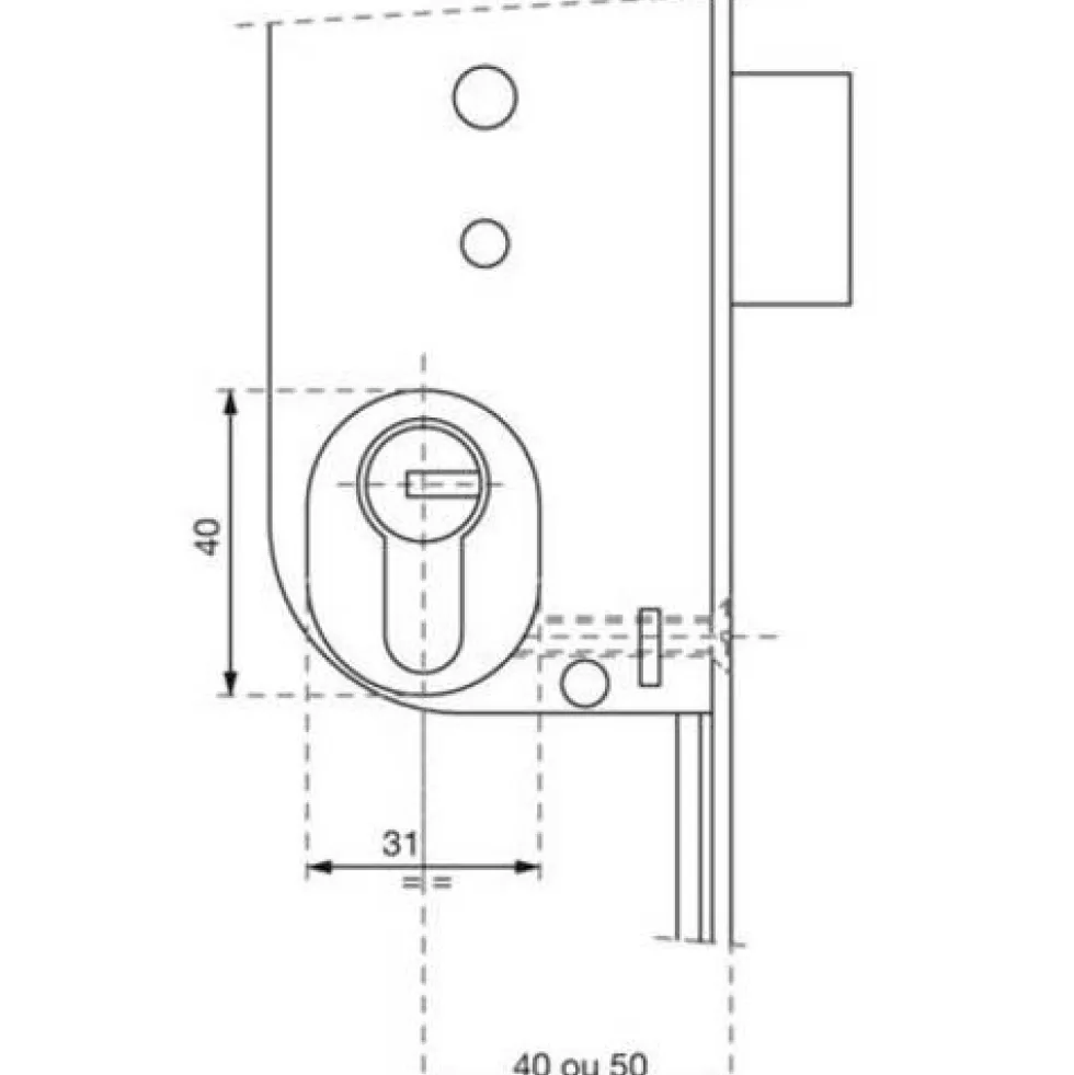 Module avec cylindre NT pour serrure 20000 A2P* VACHETTE