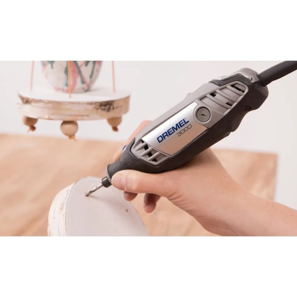 Pack Dremel® 3000-15 + 15 accessoires et coffret - F0133000JA DREMEL