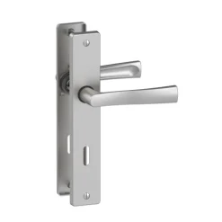 Poignée de porte sur grande plaque - aluminium chrome satiné - Flex VACHETTE