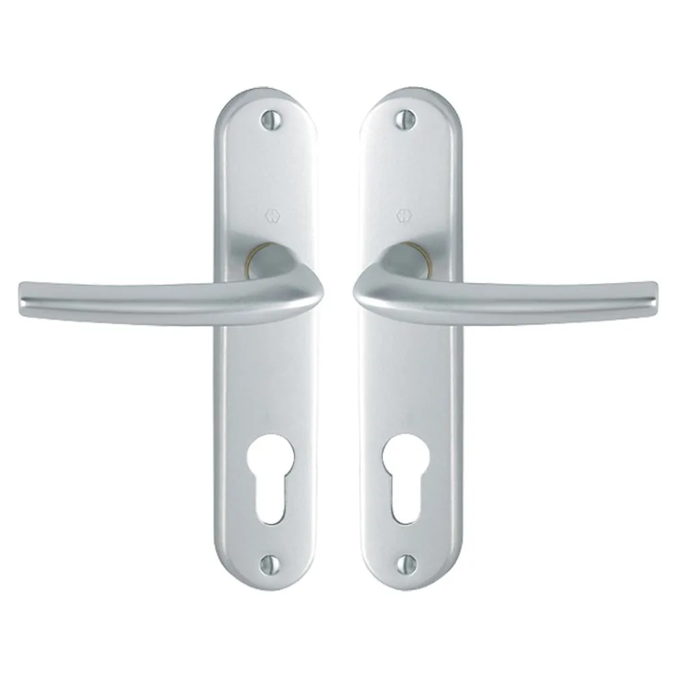 Poignées de porte sur petites plaques - 165 mm - Argent - San Diego HOPPE