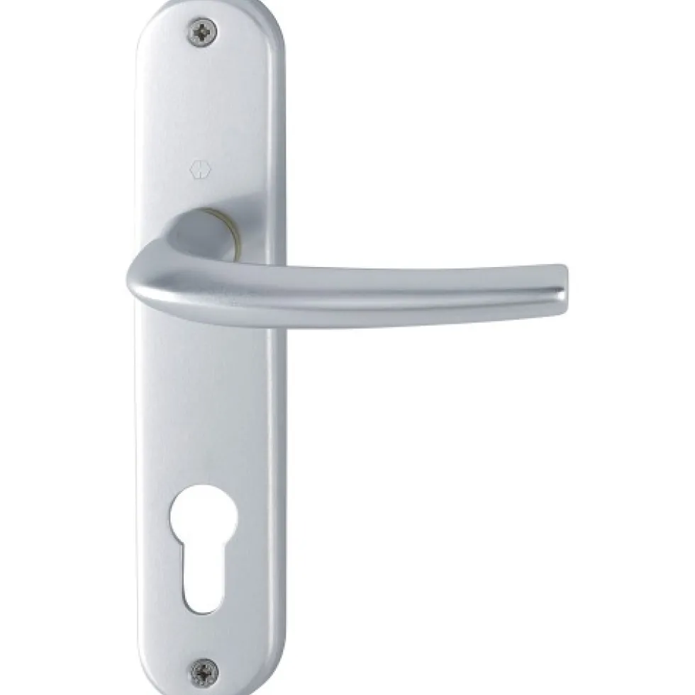 Poignées de porte sur petites plaques - 165 mm - Argent - San Diego HOPPE