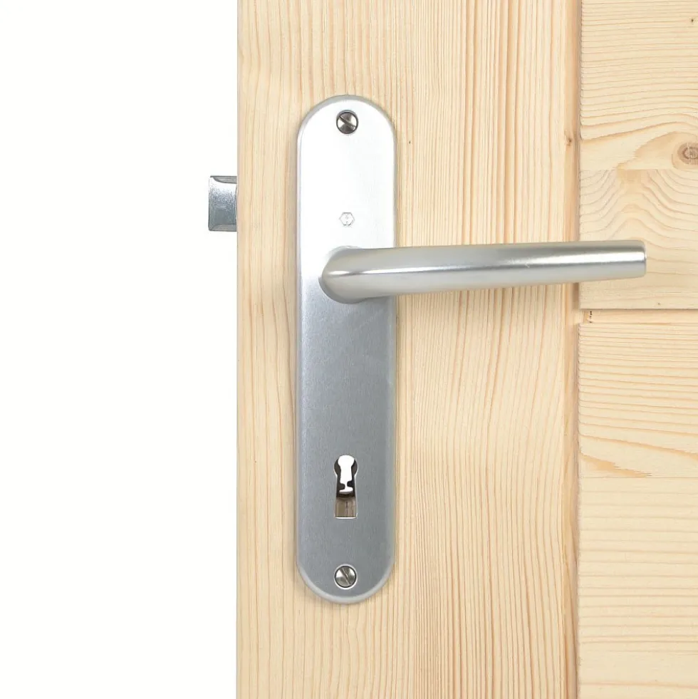 Poignées de porte sur petites plaques - 165 mm - Argent - San Diego HOPPE