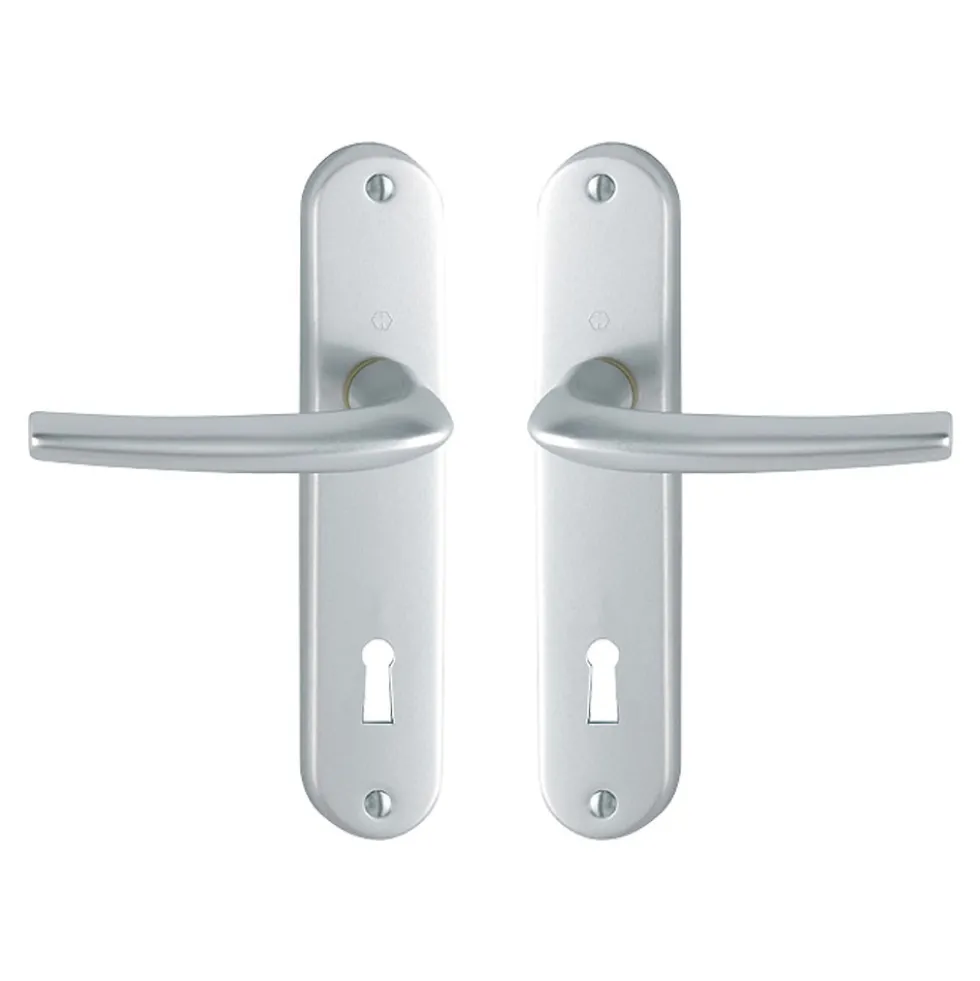 Poignées de porte sur petites plaques - 165 mm - Argent - San Diego HOPPE
