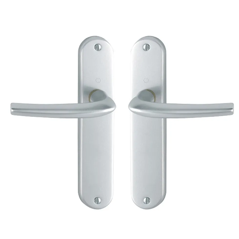 Poignées de porte sur petites plaques - 165 mm - Argent - San Diego HOPPE