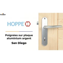 Poignées de porte sur petites plaques - 165 mm - Argent - San Diego HOPPE