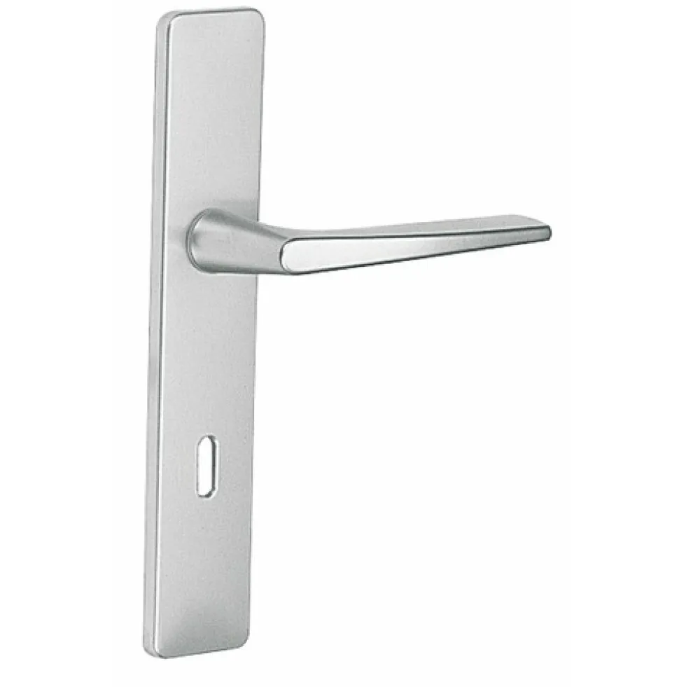 Poignées de porte sur plaques - aluminium argent - Riviera VACHETTE