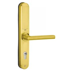 Poignées de porte sur plaques - électroniques - Intelock Multi - doré FTH THIRARD