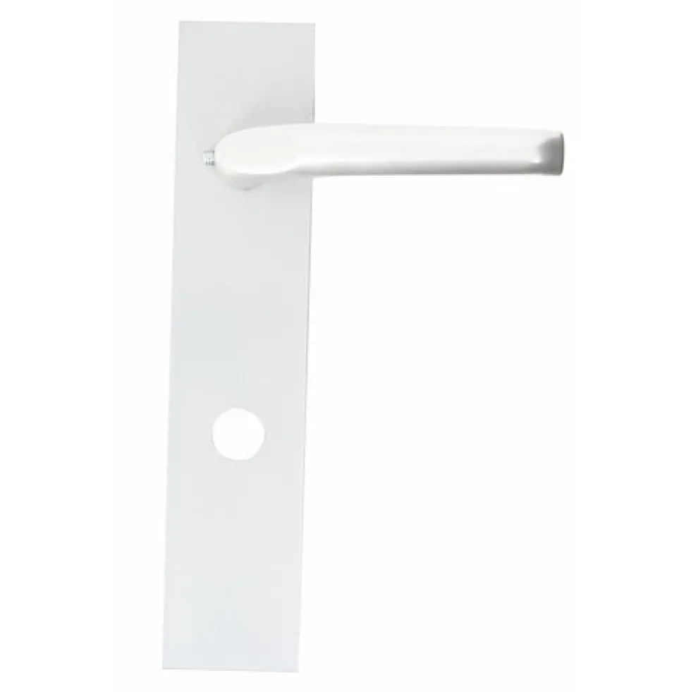 Poignées de porte sur plaques - pour Porte Sans Souci type 690 FICHET