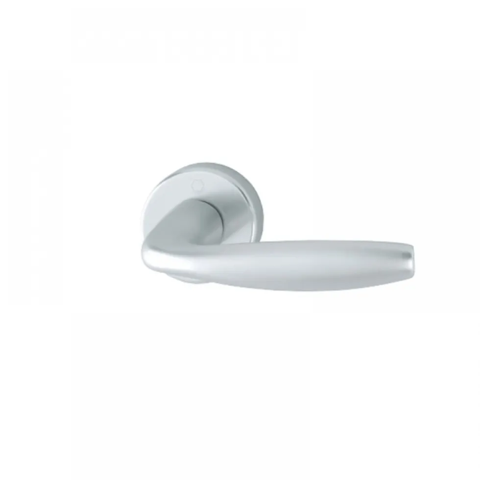 Poignées de porte sur rosaces - aspect argent - New York HOPPE