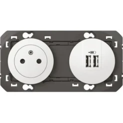Prise de courant fort 2P+T + chargeur double USB - Dooxie LEGRAND