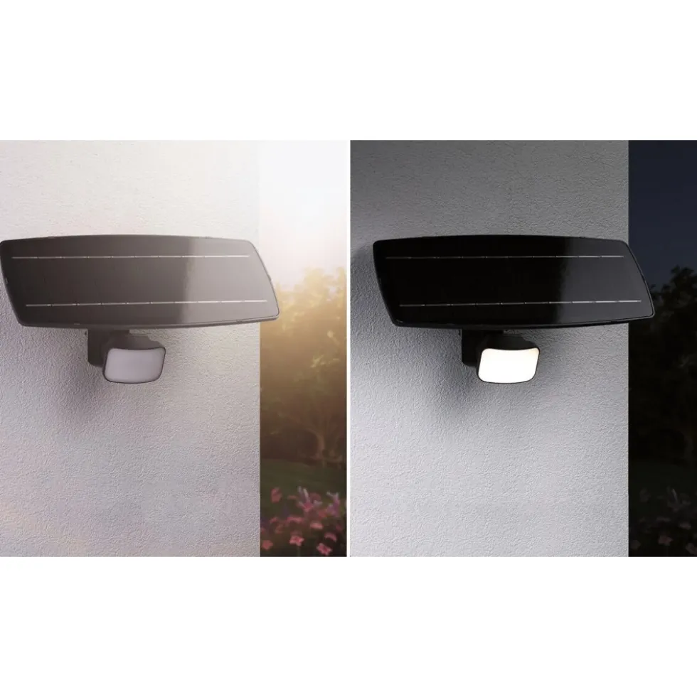 Projecteur solaire à détecteur de mouvement et crépusculaire Flotas PAULMANN