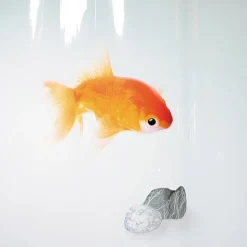Rideau de douche - 180 x 200 cm - Peva - Motifs Poissons SPIRELLA