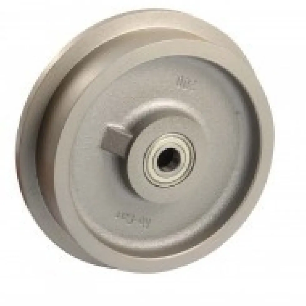 Roue wagonnet fonte - 130/150 mm - alésage 20 mm - 500 kg - Roulements à billes AVL