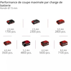 Sécateur sur perche Pro GP-LS 18/35 Li BL-Solo - Power X-Change EINHELL PROFESSIONAL