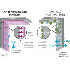 Vernis pièces humides multisupports mat invisible Mauler