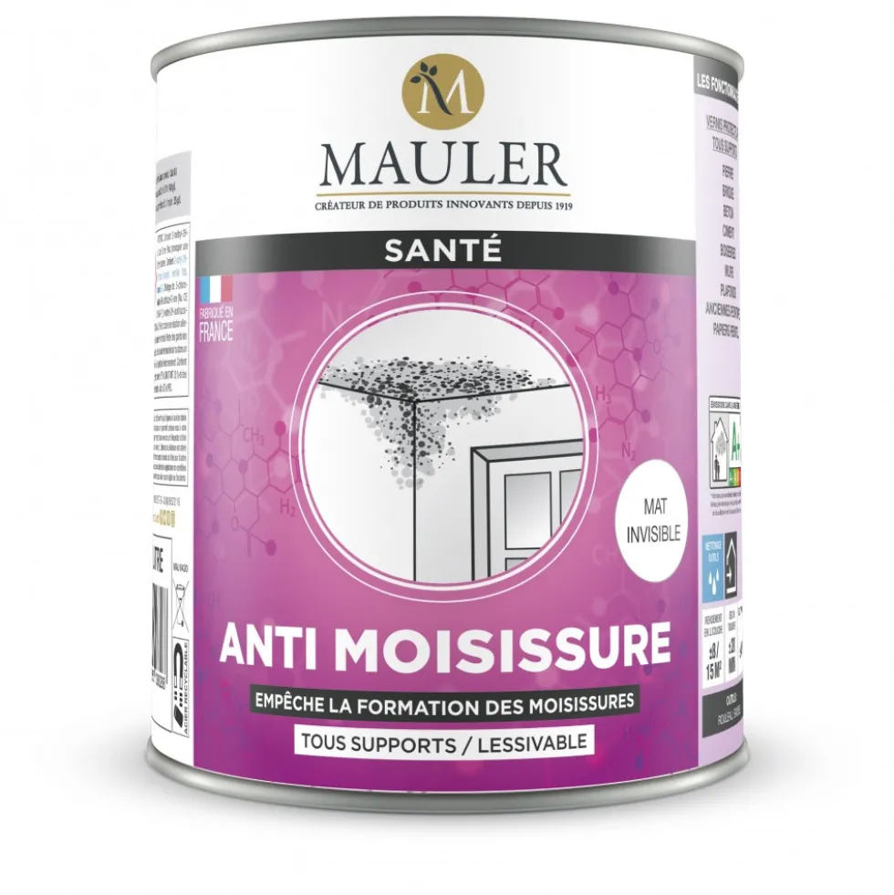 Vernis pièces humides multisupports mat invisible Mauler