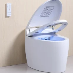WC Monobloc Luxe DIAMOND V2 TopToilet