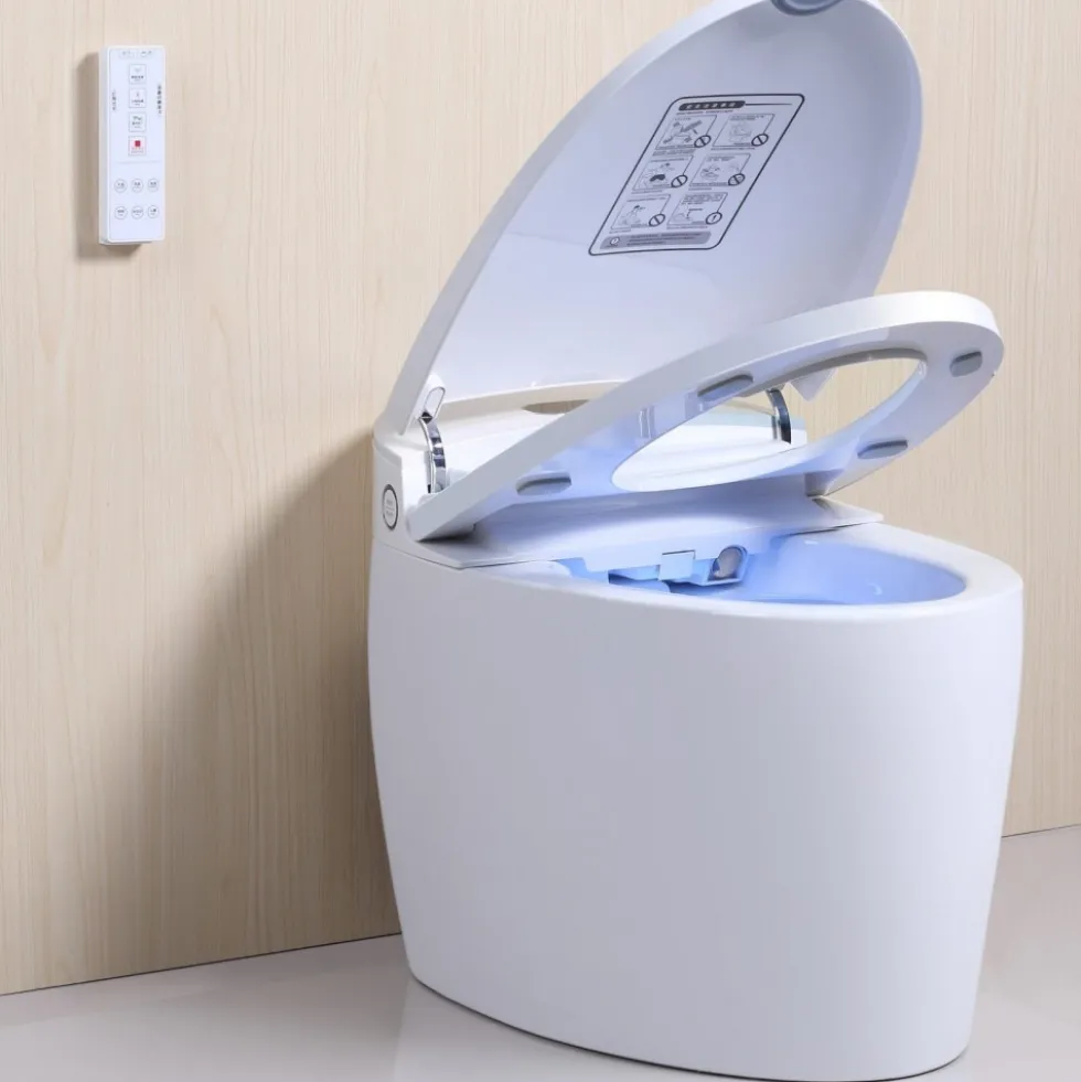 WC Monobloc Luxe DIAMOND V2 TopToilet